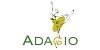 ESCUELA DE DANZA ADAGIO