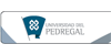 Universidad del Pedregal