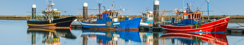 Famílies professionals d'FP - Maritimopesquera