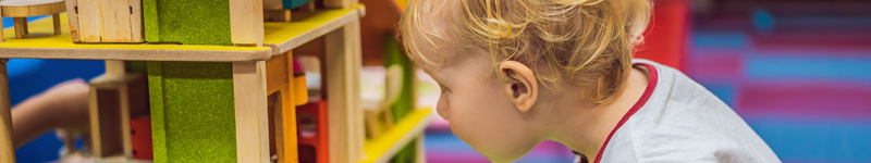 Famílies professionals d'FP - Serveis Socioculturals i a la Comunitat