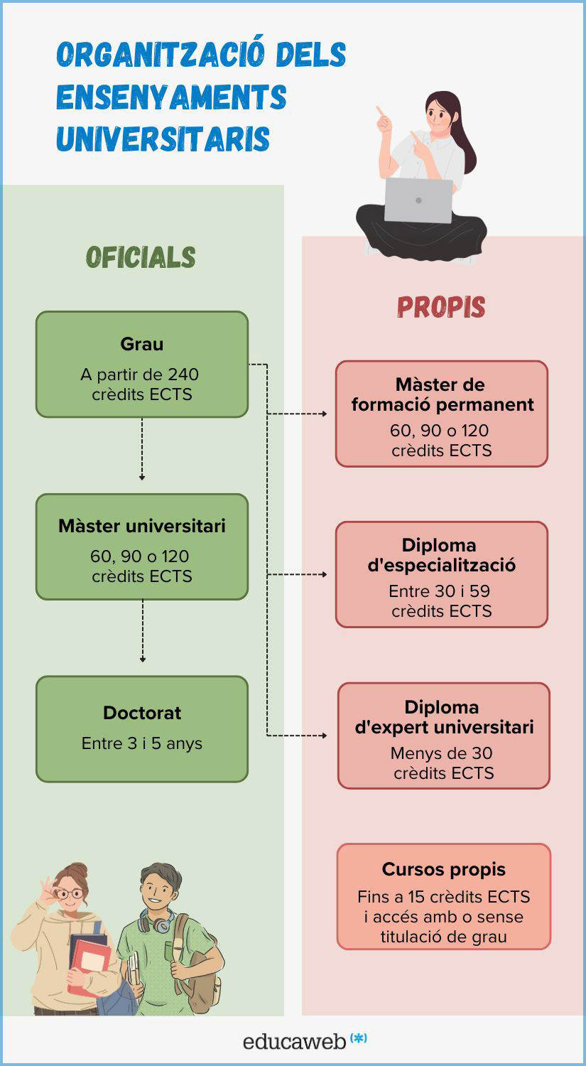 Organització dels ensenyaments universitaris