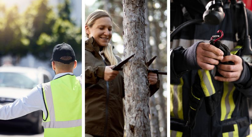 Sector de la seguridad pública