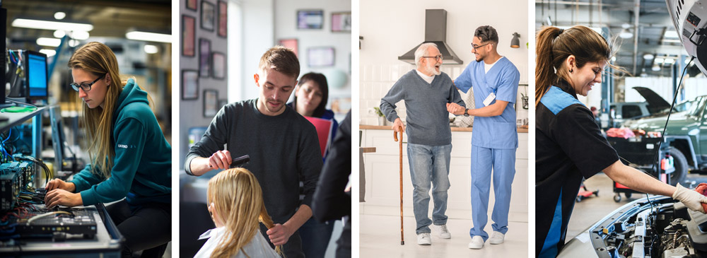 Cicles Formatius de Grau Mitjà d'FP