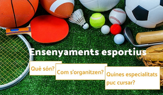 Ensenyaments esportius