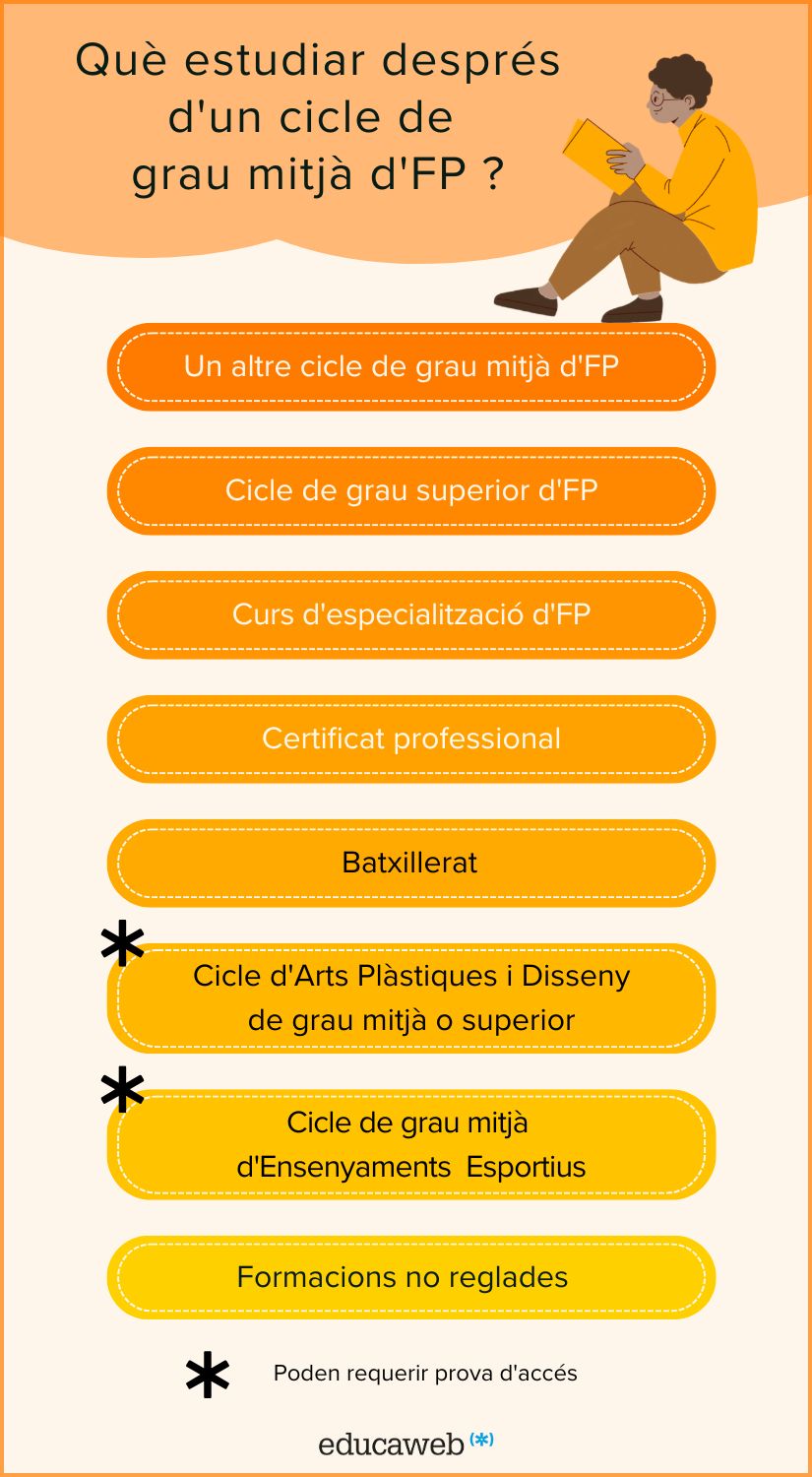 Infografia sobre què estudiar després d'un cicle de grau mitjà