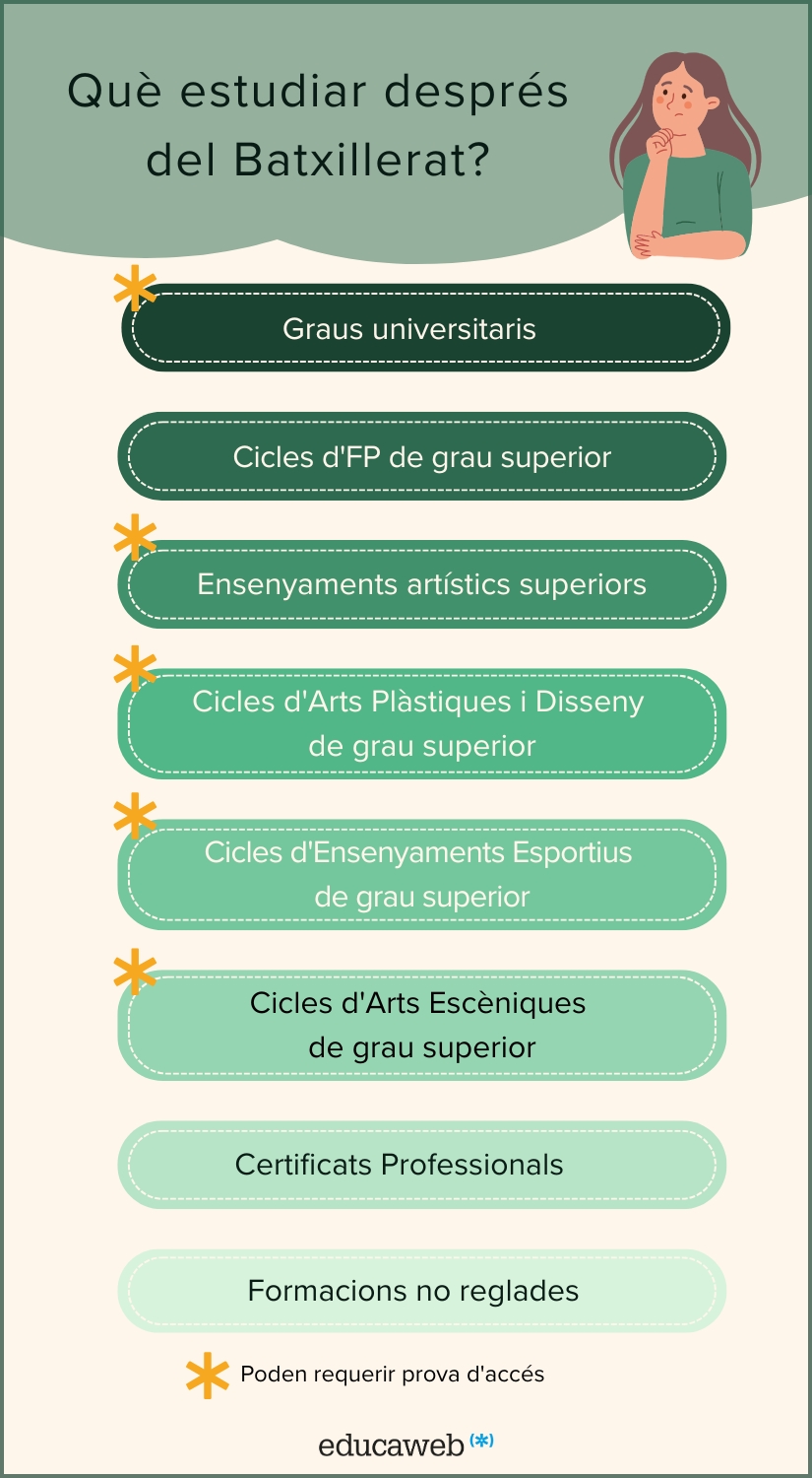 Infografia sortides acadèmiques batxillerat